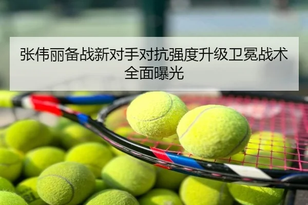 张伟丽备战新对手对抗强度升级卫冕战术全面曝光